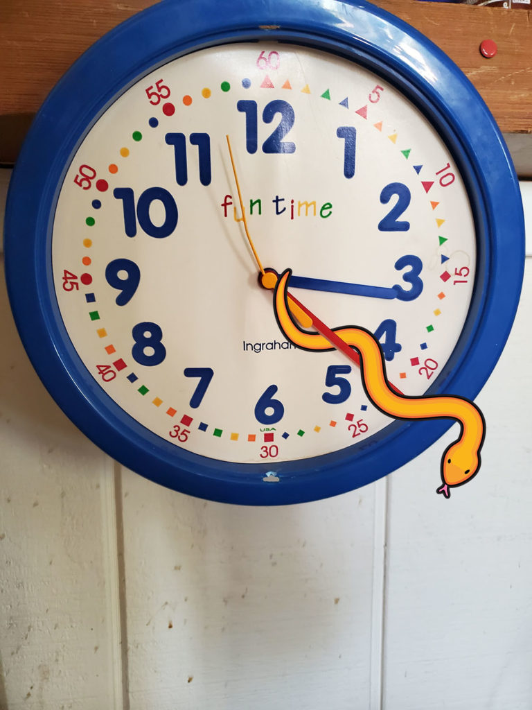 clock snake