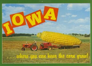 Iowa corn postcard