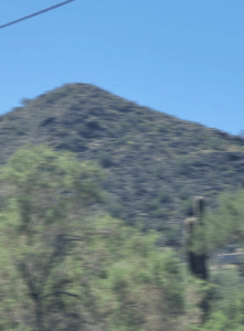 Trip cactus blur